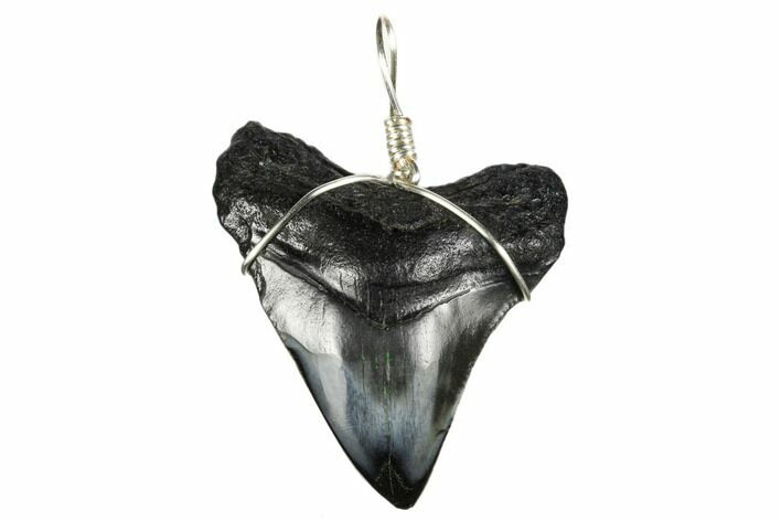 Fossil Megalodon Tooth Necklace #173830
